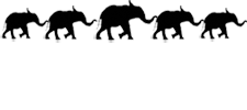 Caravan Youth Center / Caravan Circus